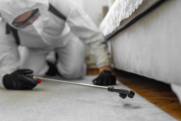 Professional Pest Control technician working in Lancaster County County, SC